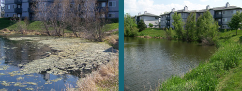 Fountain Before and After